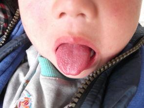 红热瓜,揭秘网络热点的背后故事